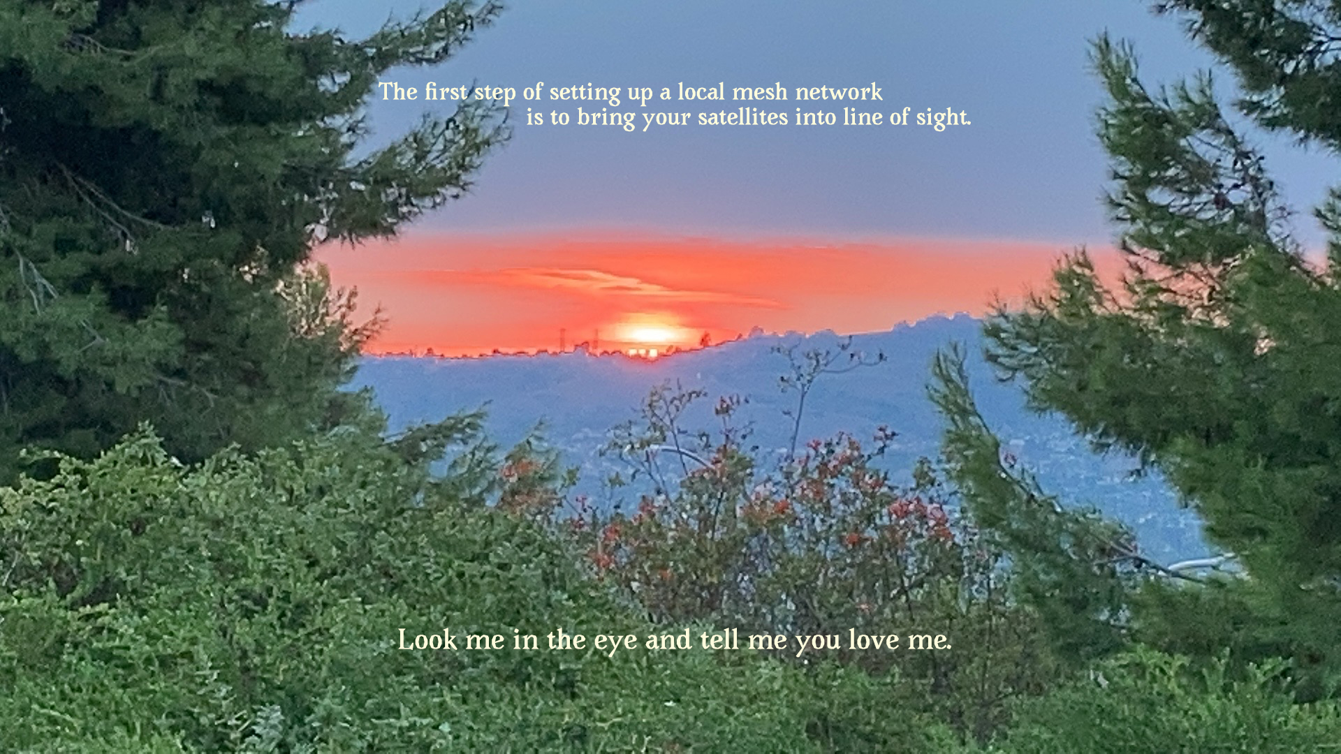 Quote from "The Dust Settles Elsewhere" essay by Alice Yuan Zhang. Photo taken by her mother on an evening walk in the park.