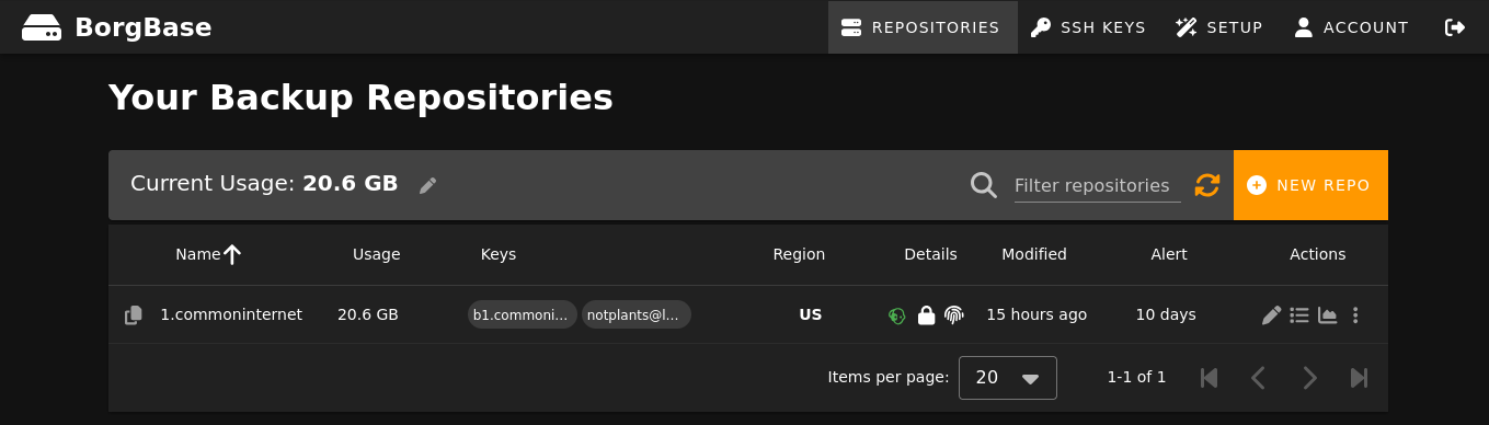 screenshot of borgbase.come where we can see the Solidarity Infrastructures server backup is using 20.6GB of space and was last updated 15 hours ago