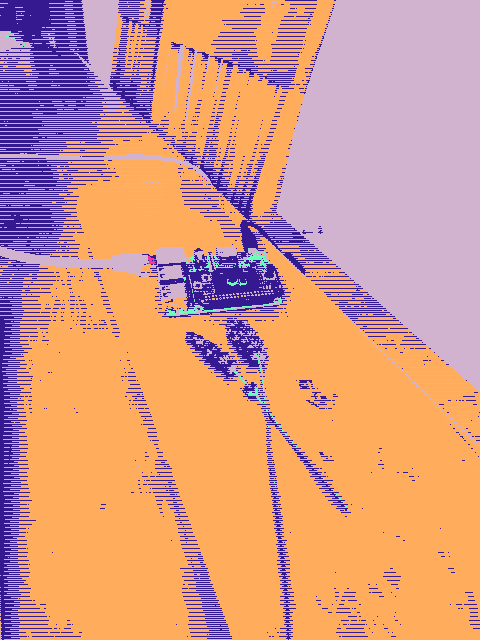 a compressed image of a raspberry pi next to some lavender flowers 